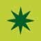 REVESTIMIENTO 15X15 DECORADO Pistacho Star 1 MATE - CPM